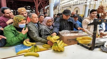 ارتفاع محدود في أسعار الذهب وسط تعاملات الأسواق الإماراتية خلال تداولات الجمعة